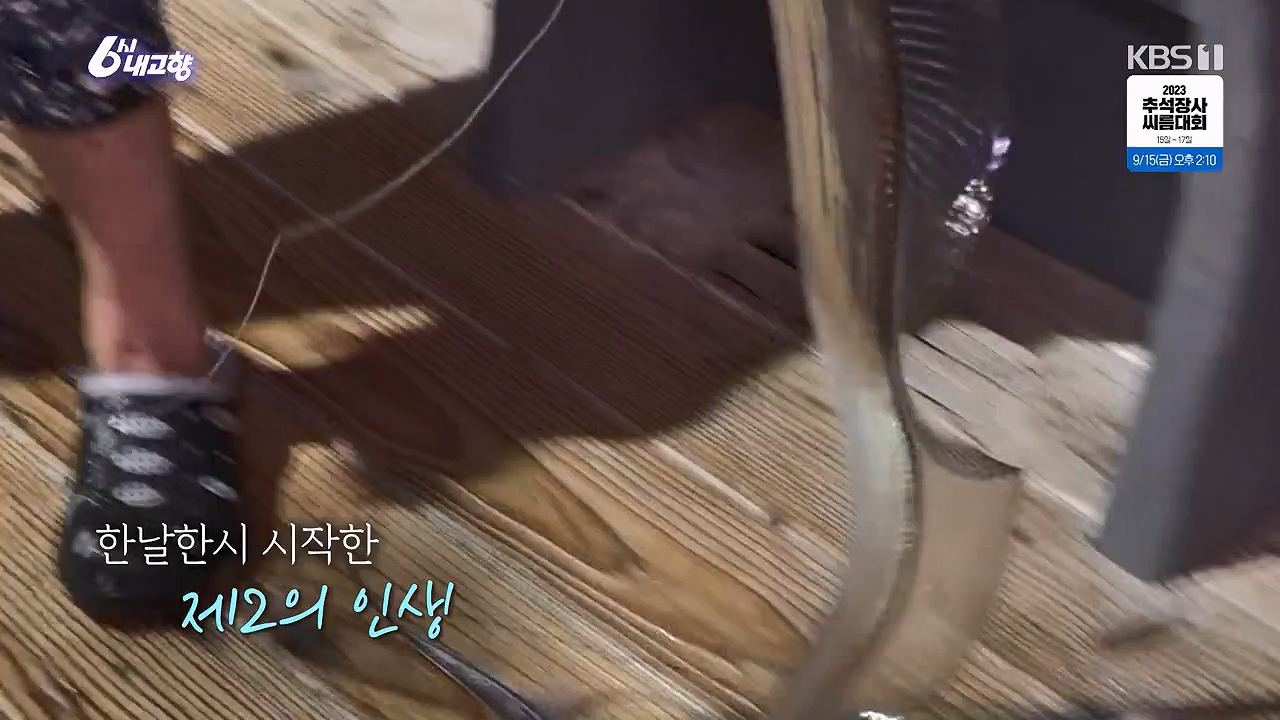 6시 내고향.E7878.230912p-NEXT.mp4_20230918_211137.150.jpg