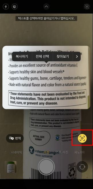 iPhone Live Text로 텍스트를 스캔하고 번역하는 방법 6