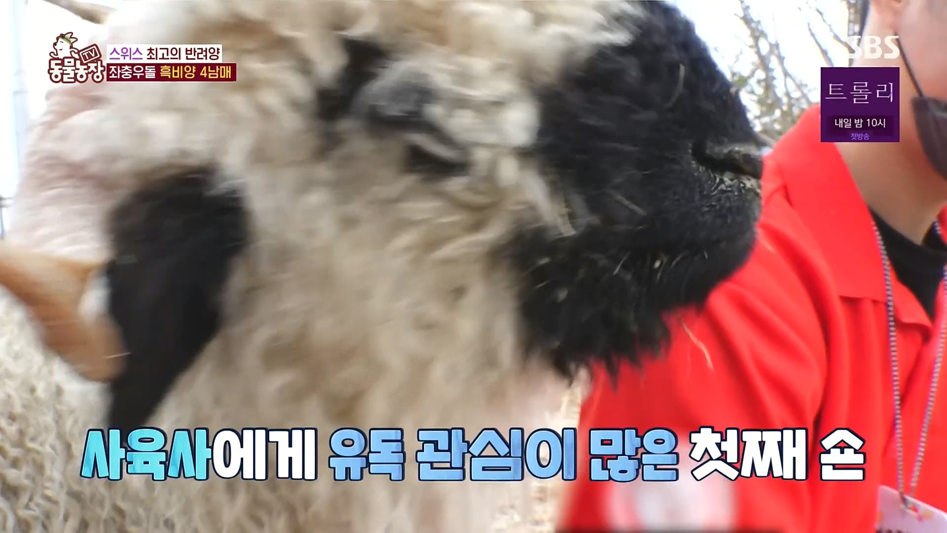 TV 동물농장.E1100.221218p.H264-F1RST.mp4_20221218_183445.493.jpg