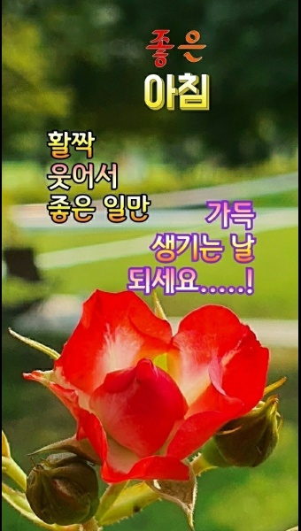 사월 이미지