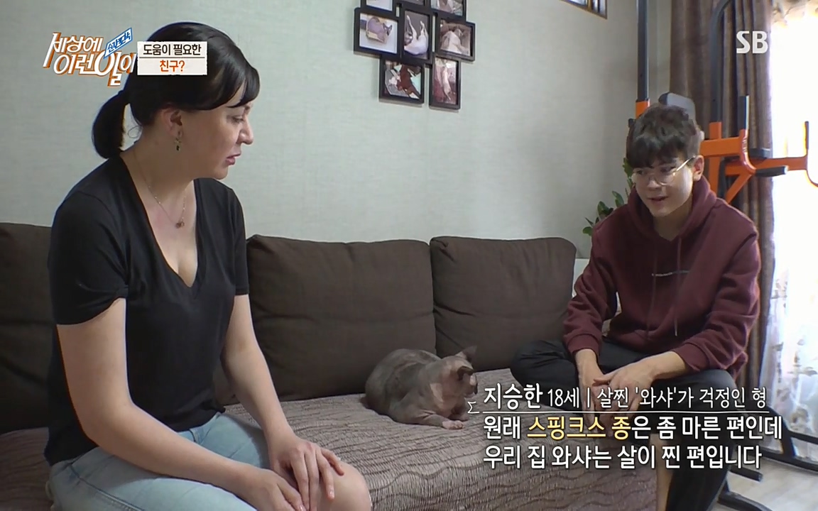 순간포착 세상에 이런일이.E1177.220427p-NEXT.mp4_20220427_180525.491.jpg