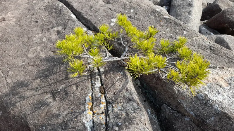 부산 장산