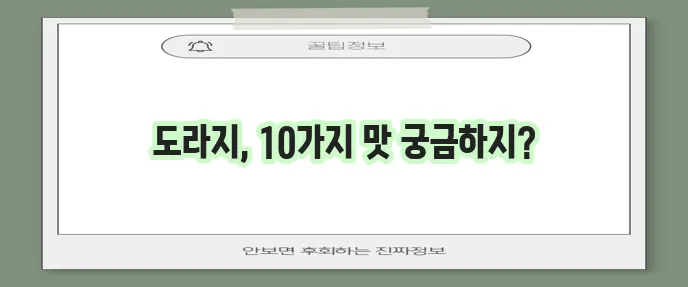 몸에 좋은 도라지 요리 10가지 방법 알아봅시다!