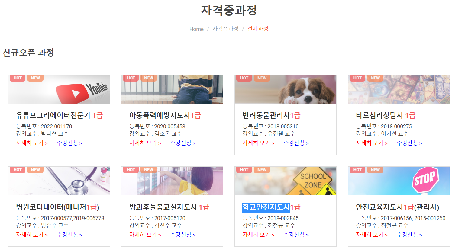 자격증 과정