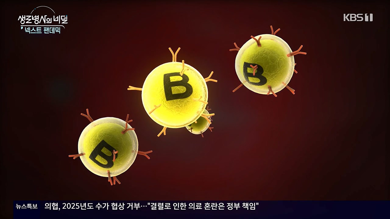 생로병사의 비밀.E914.240606p-NEXT.mp4_20240606_170506.143.jpg