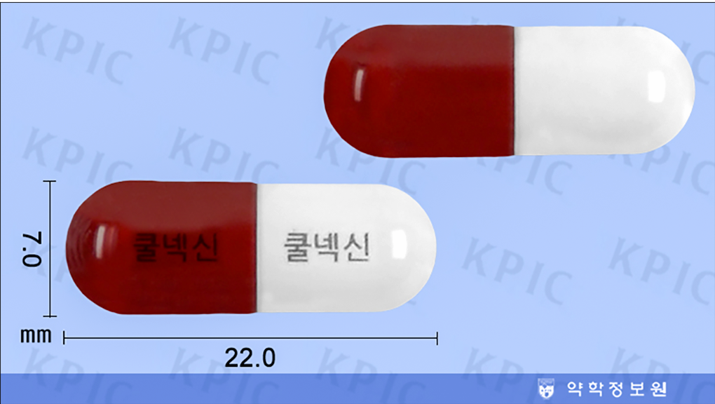 캡슐 이미지