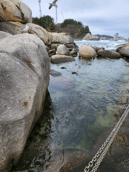 강원도 양양 휴휴암 방생