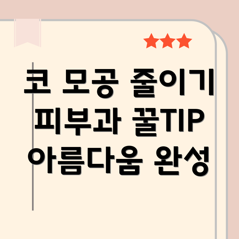 코 모공 축소