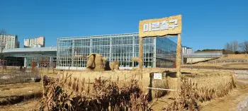 야외시설-미로