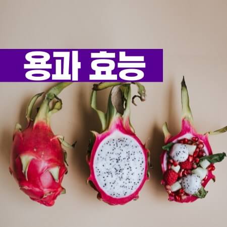 용과-효능-썸네일