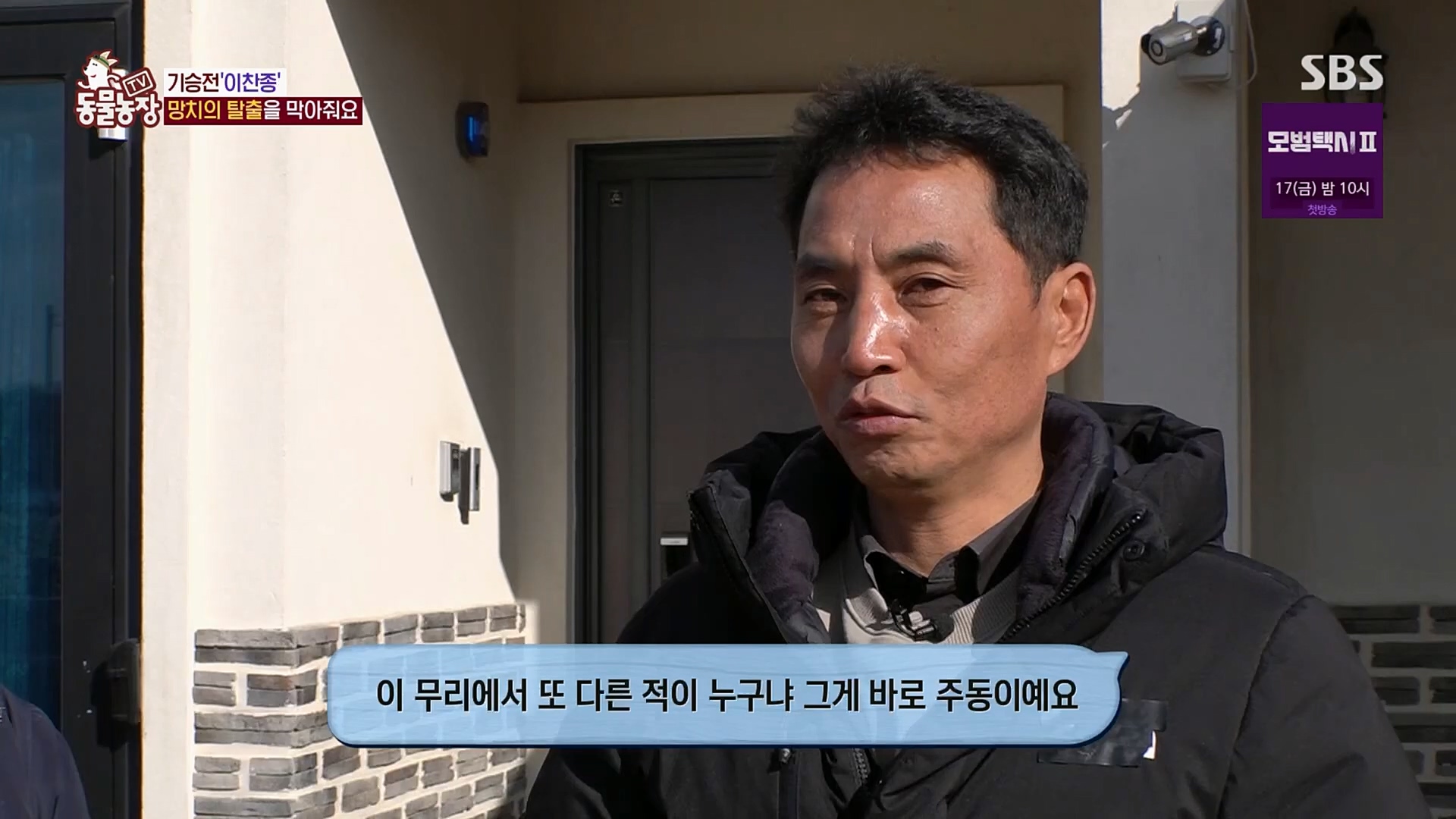 TV 동물농장.E1108.230212p.H264-F1RST.mp4_20230212_182143.944.jpg