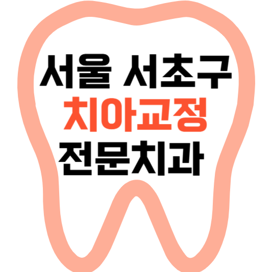 서울 서초구 치아교정 치과 잘하는 곳 전문 치과 추천 가격 비용.png