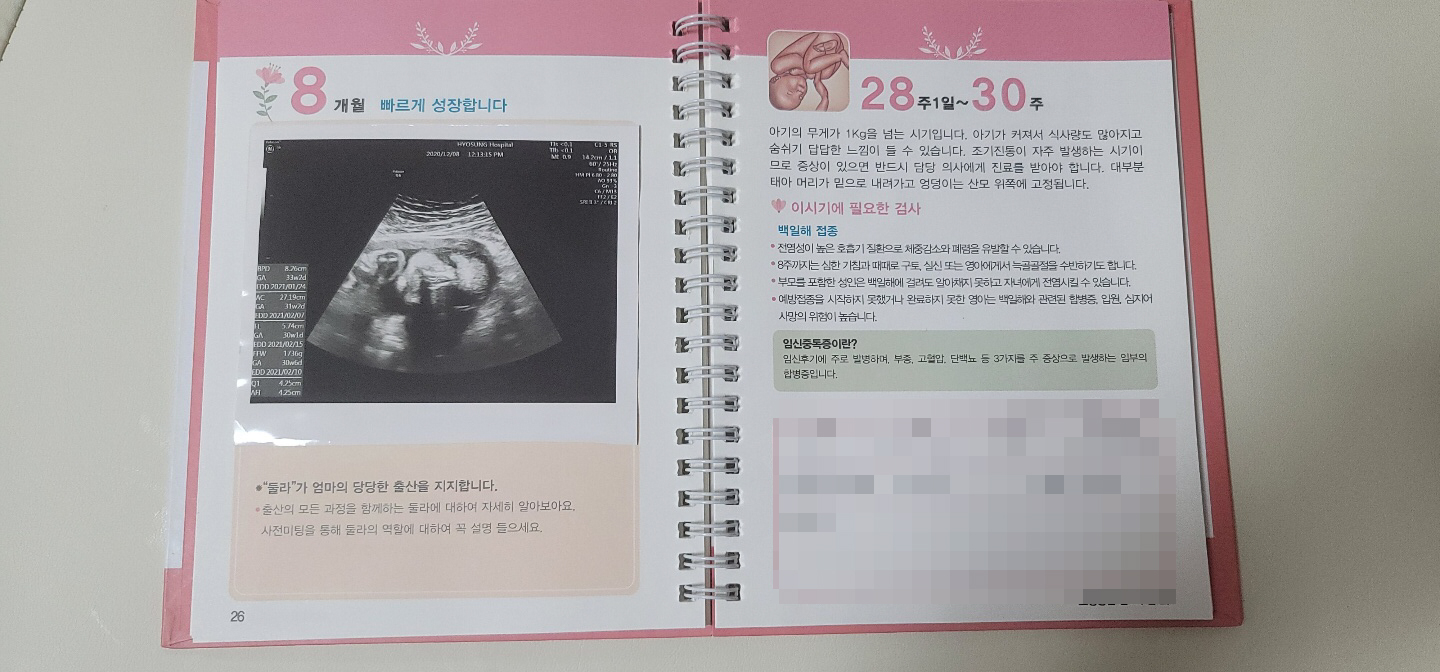  임신 중기 신생아 임산부 백일해주사 아빠도 함께 맞아요!