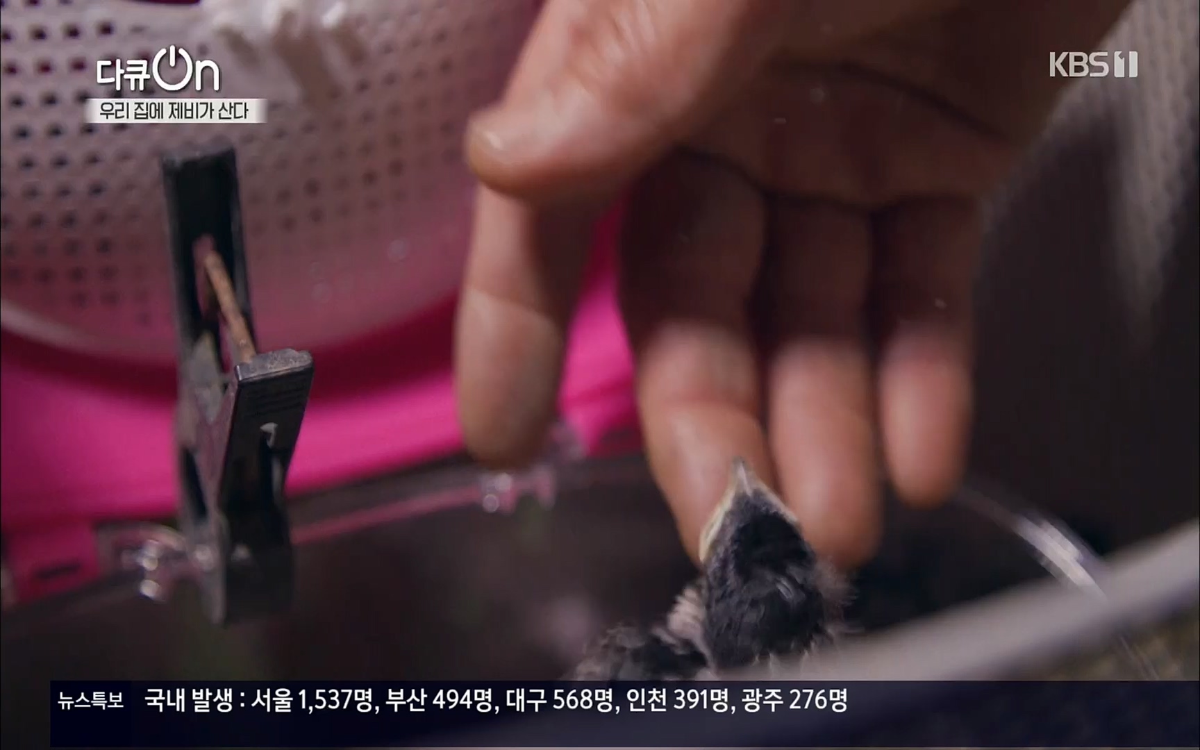 다큐 On.E143.220610p.H264-F1RST.mp4_20220613_202637.013.jpg