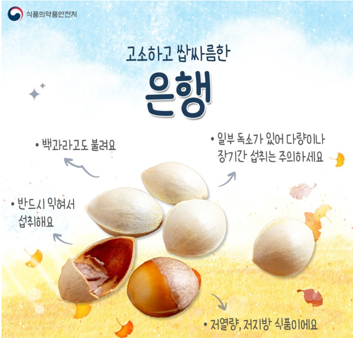 딱딱한 껍질 속 은행 손질방법, 은행 볶음, 은행 쉽게 까기