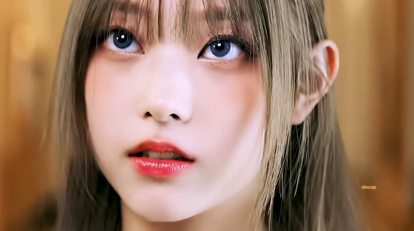 강고양이