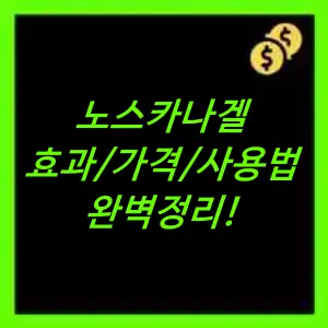 노스카나겔 효과&#44; 가격&#44; 사용방법