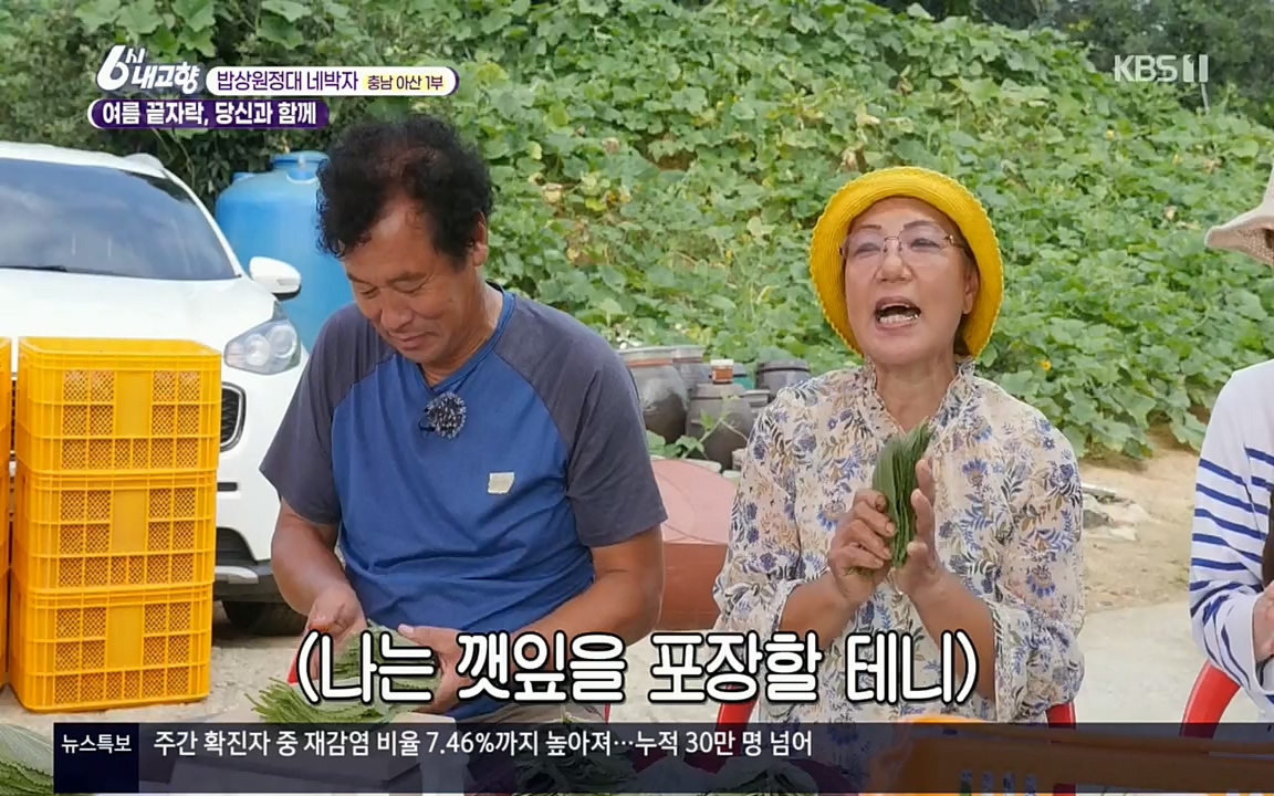 6시 내고향.E7608.220832p.H264-F1RST.mp4_20220901_204412.867.jpg