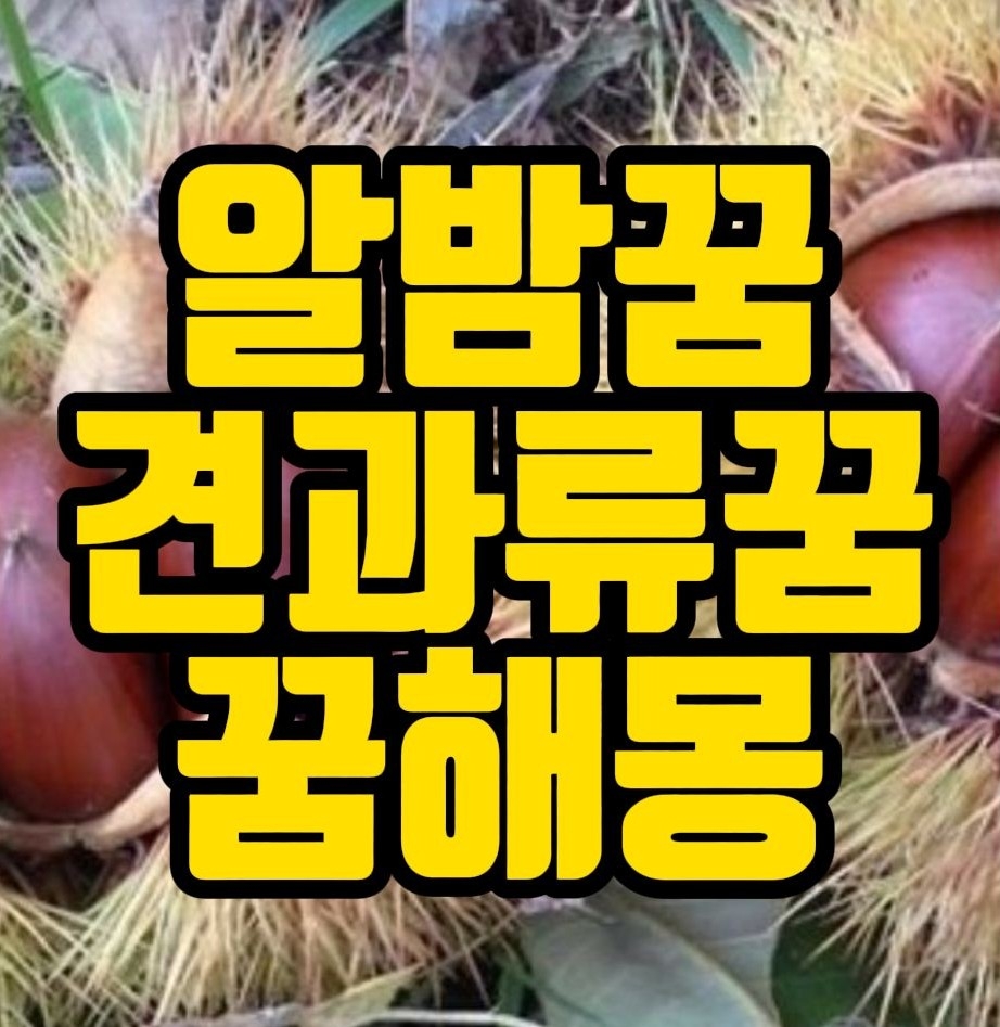  [꿈해몽] 알밤꿈,호두꿈,대추꿈,은행꿈,도토리꿈 관련 꿈풀이