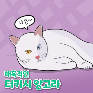 soju1117_4.jpg