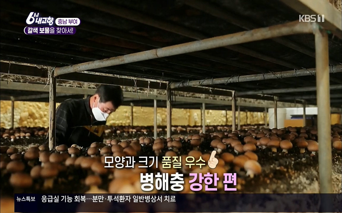 6시 내고향.E7512.220416p.H264-F1RST.mp4_20220502_185347.876.jpg