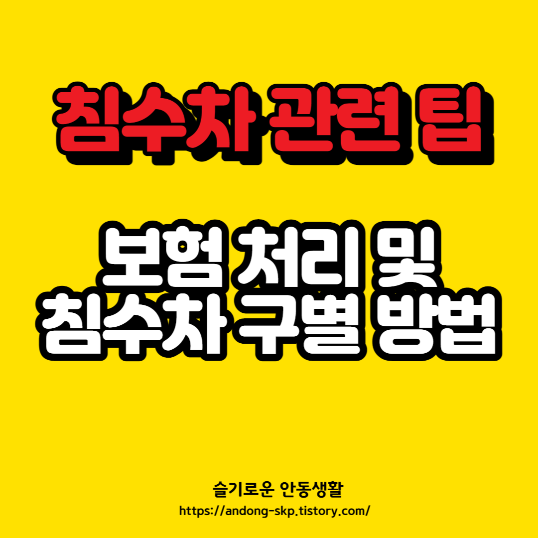  침수차 보험처리와 침수차 구별법 정리