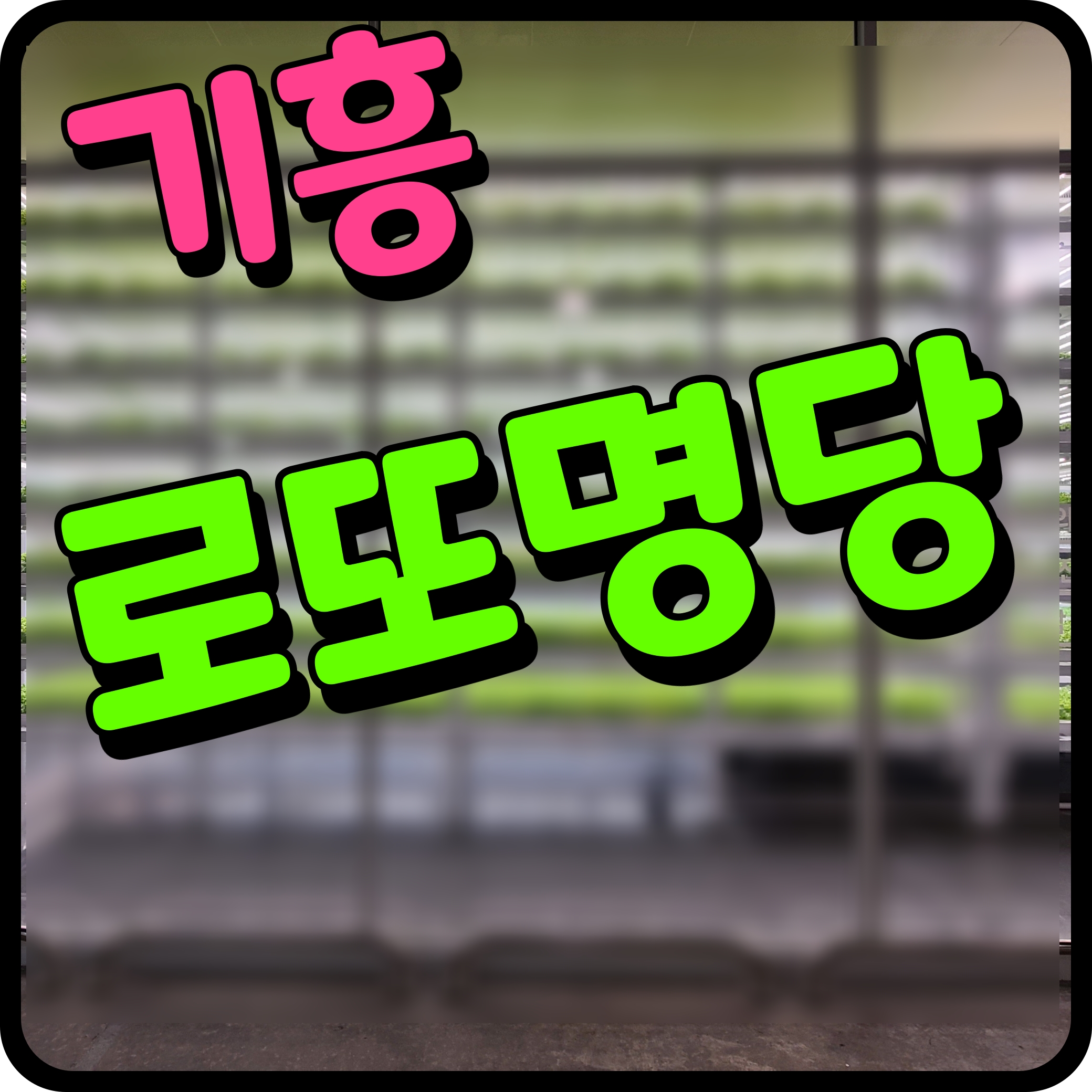  기흥 로또휴게실 로또 명당 보라동 1등 당첨금 이번주는 나도 받아보자
