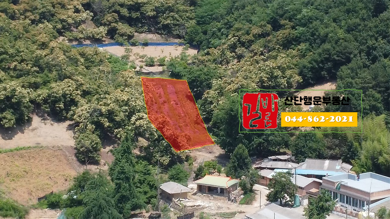 토지 사진