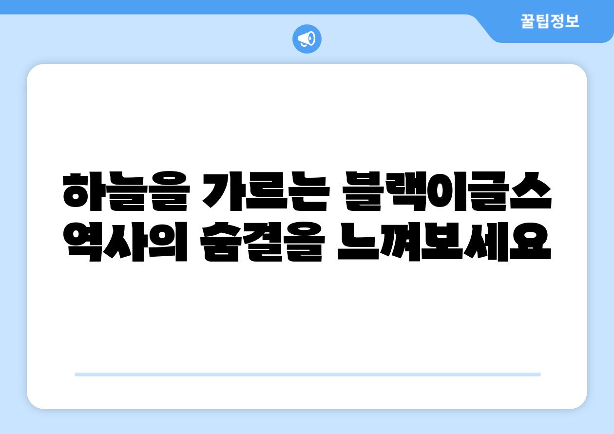 하늘을 가르는 블랙이글스 역사의 숨결을 느껴보세요