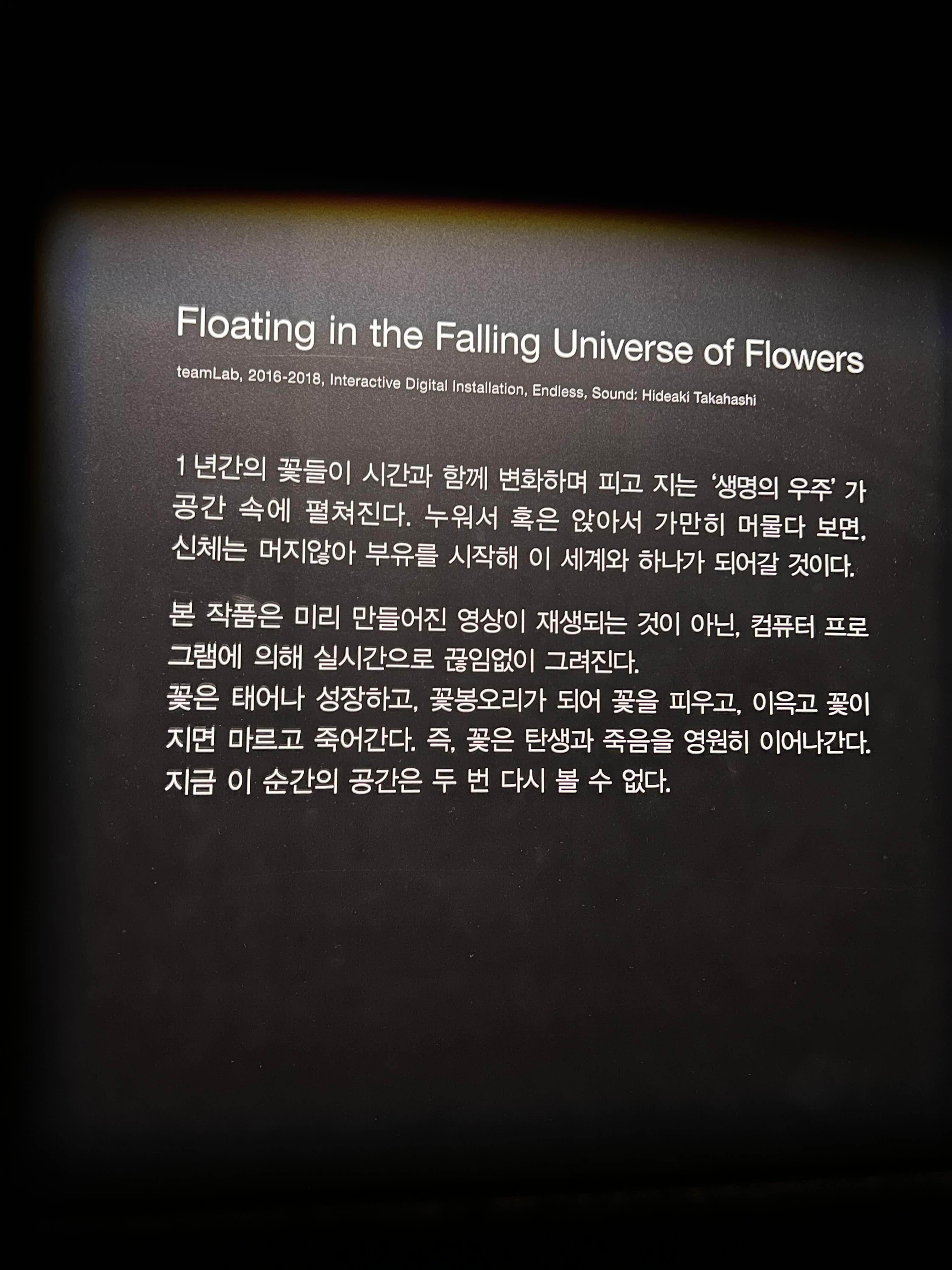 Floating in the Falling Universe of Flowers 설명문