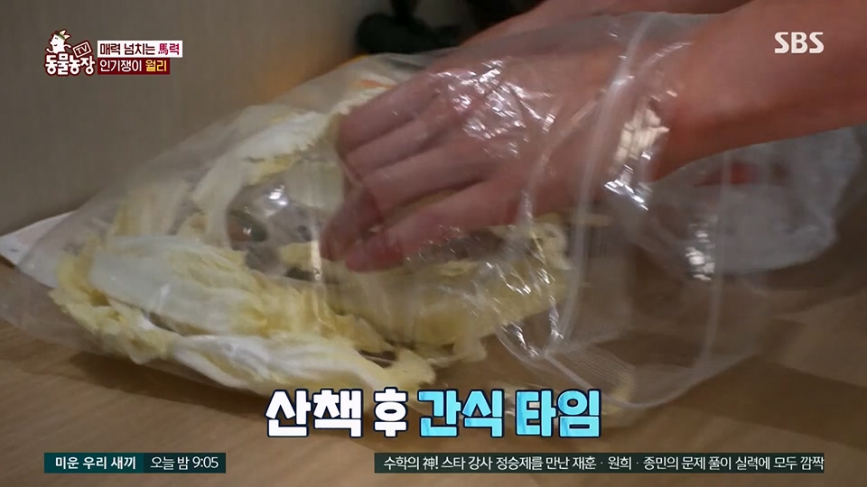 TV 동물농장.E1126.230625p.H264-F1RST.mp4_20230626_204302.339.jpg