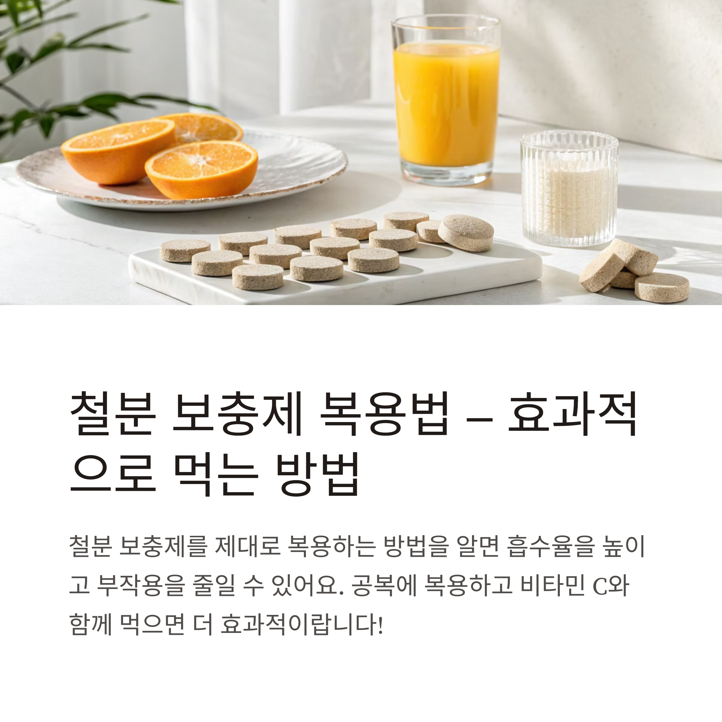 철분 보충제