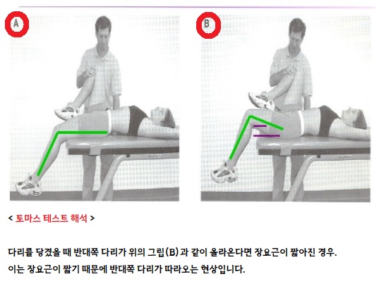 토마스 테스트 해석