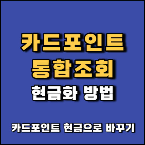 카드포인트 통합조회 현금화 소멸예정포인트 조회 하는방법