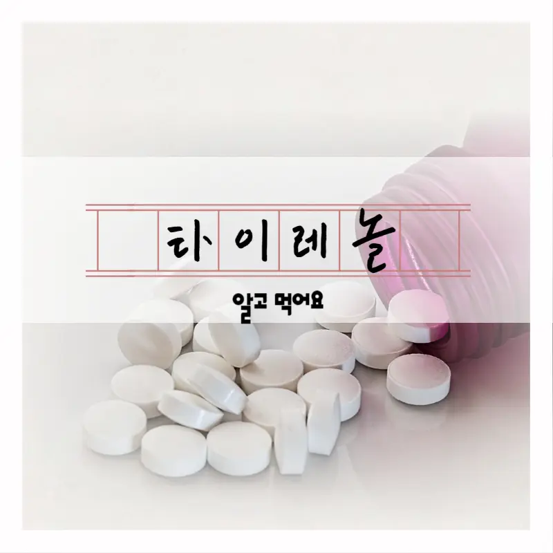 타이레놀 효능
