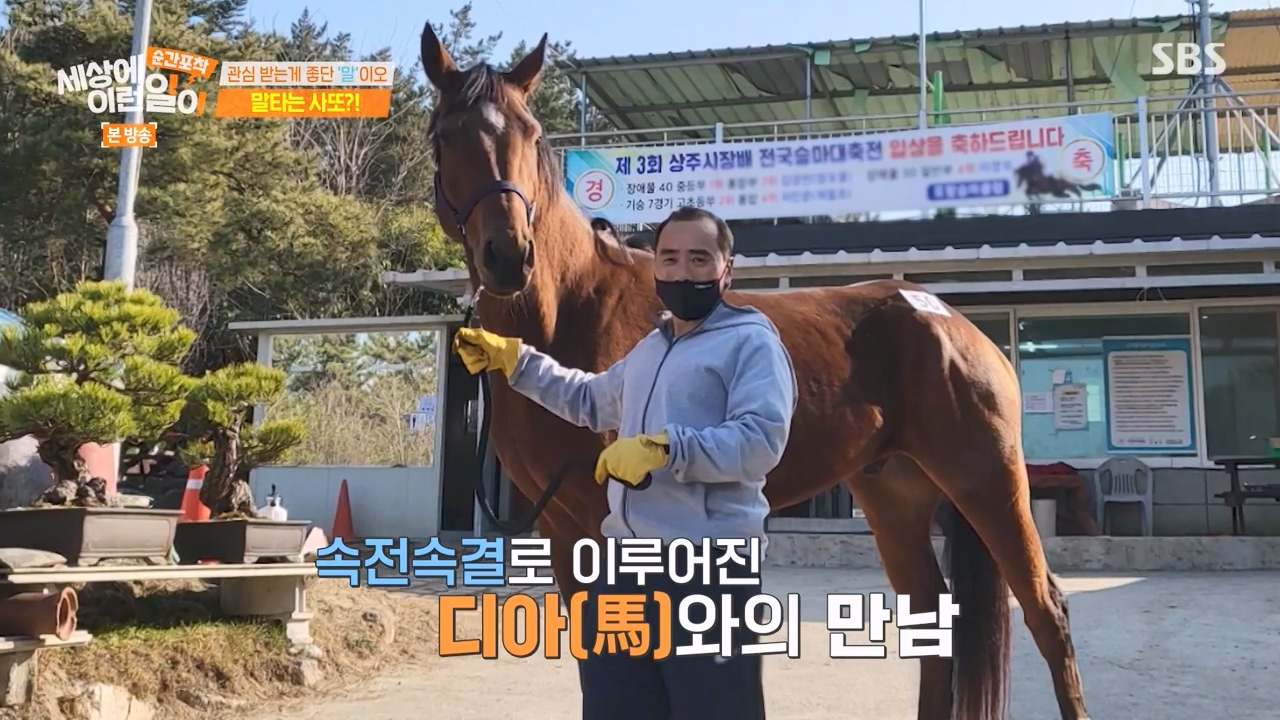 순간포착 세상에 이런일이.E1267.240303p-NEXT.mp4_20240303_162001.712.jpg