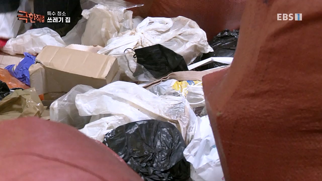 TV - 교육의 중심 EBS특수 청소.mp4_20230301_174708.398.jpg