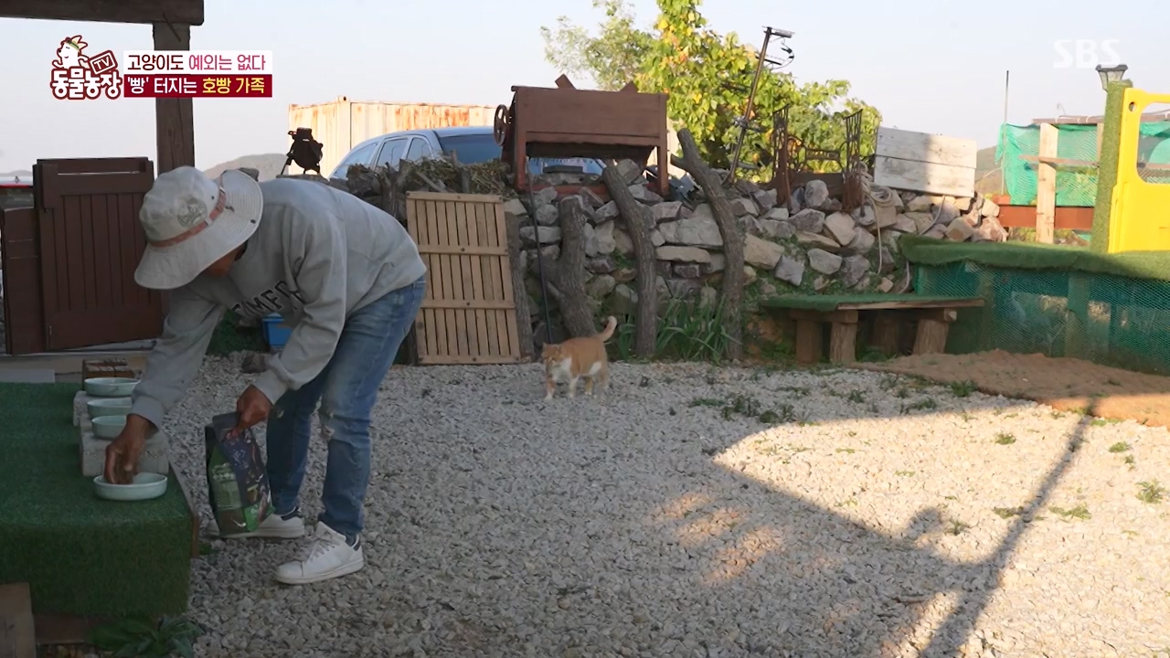 TV 동물농장.E1147.231127p-NEXT.mp4_20231126_170347.478.jpg