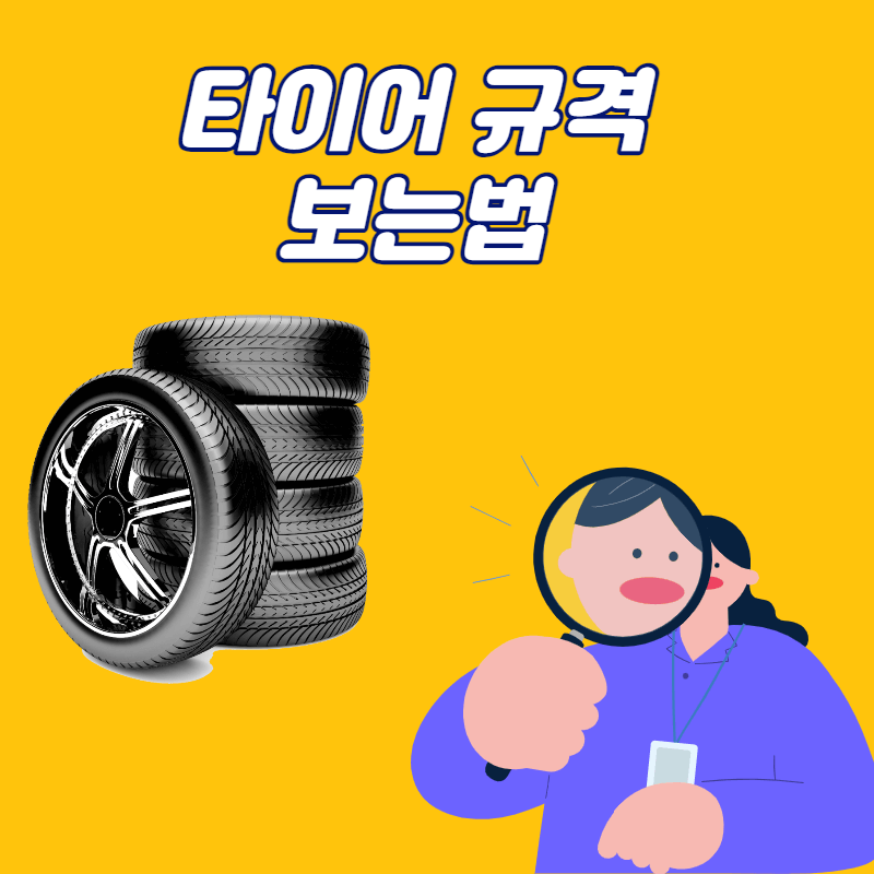 타이어규격 확인