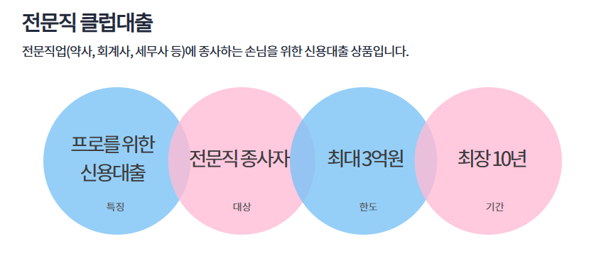 하나은행 전문직 신용대출