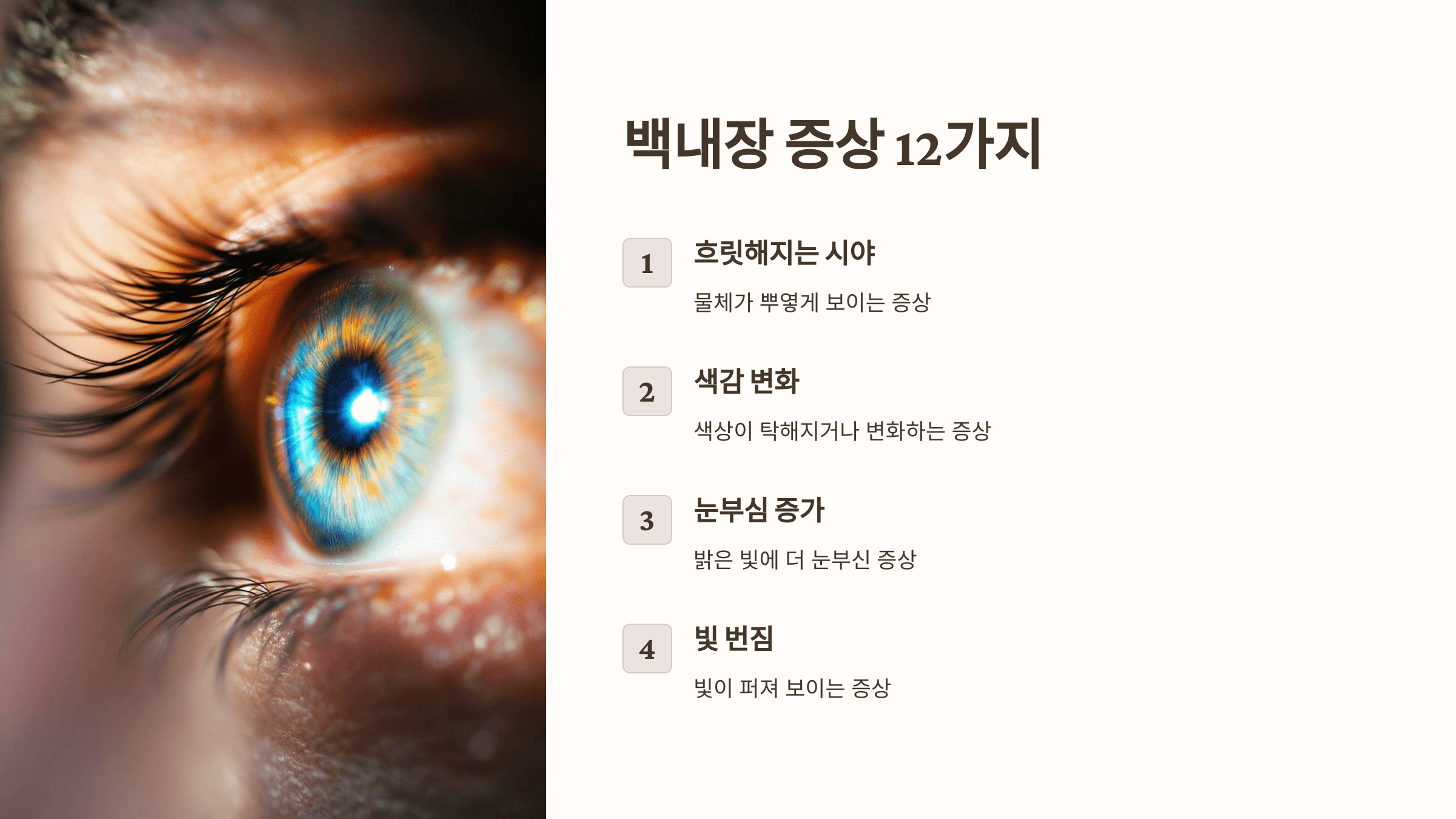 백내장과 관련된 사진입니다.