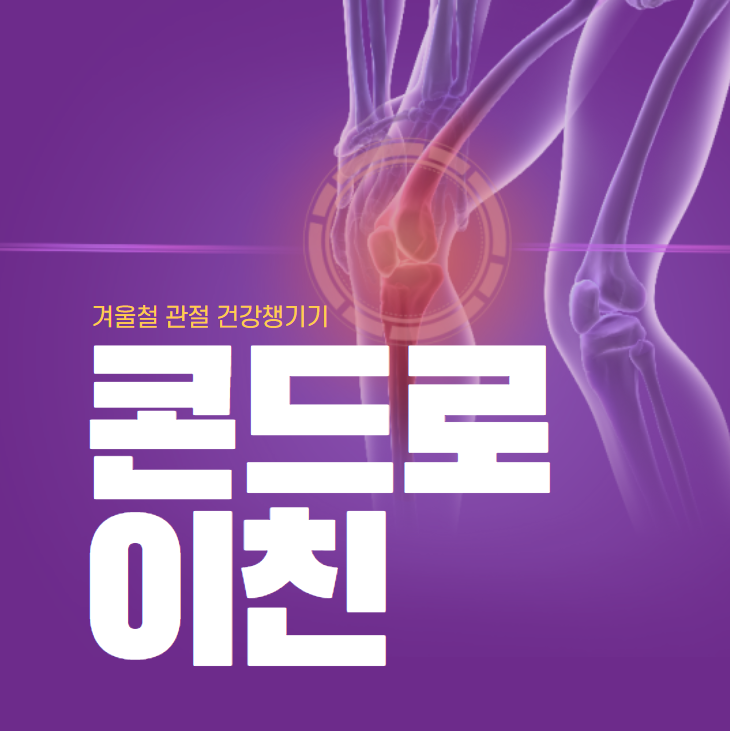 콘드로이친 썸네일