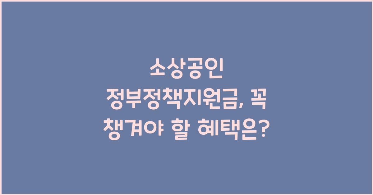 소상공인 정부정책지원금