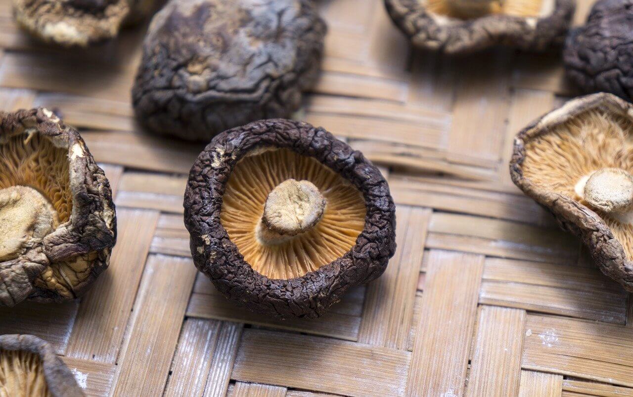말린 표고버섯의 사진