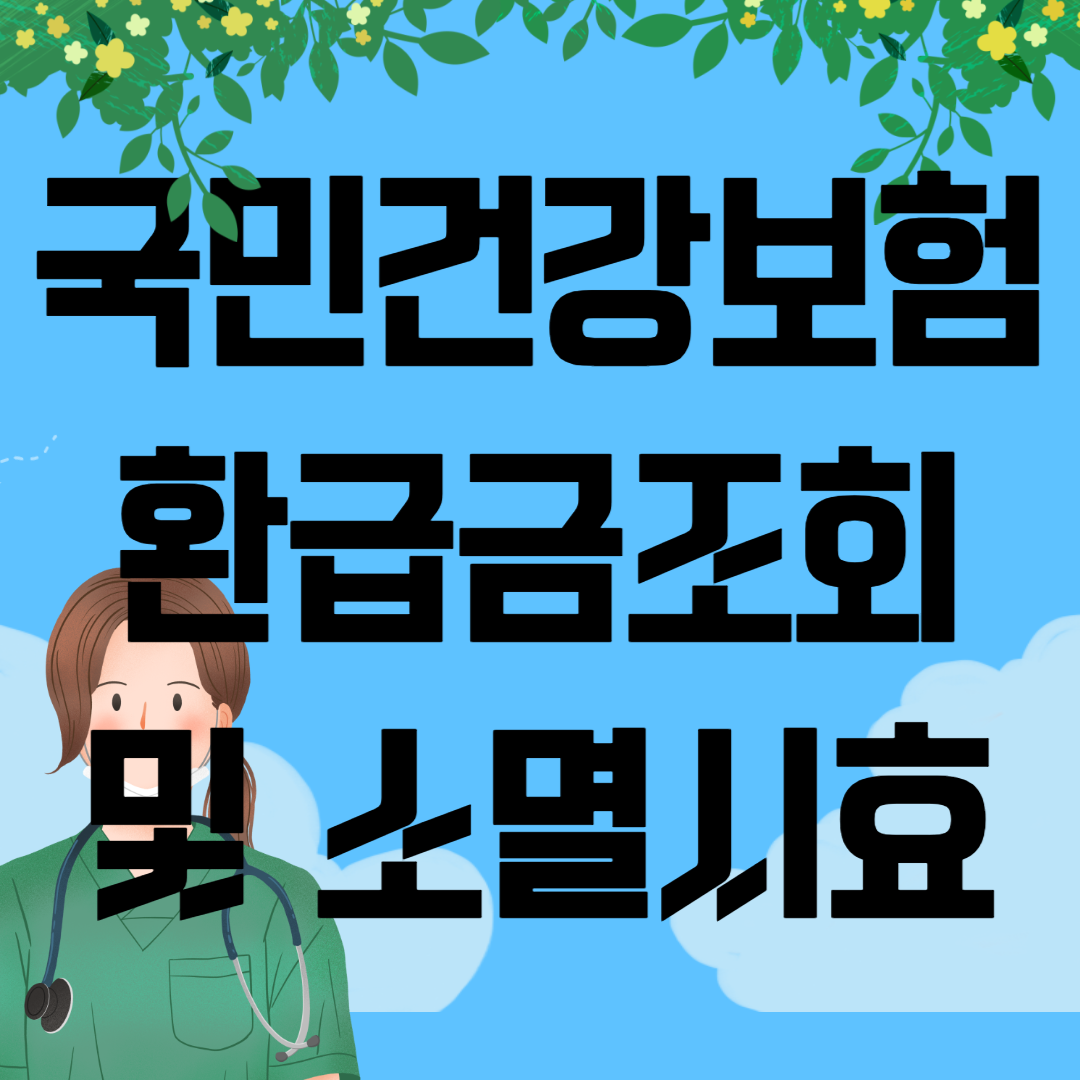 국민건강보험 환급금