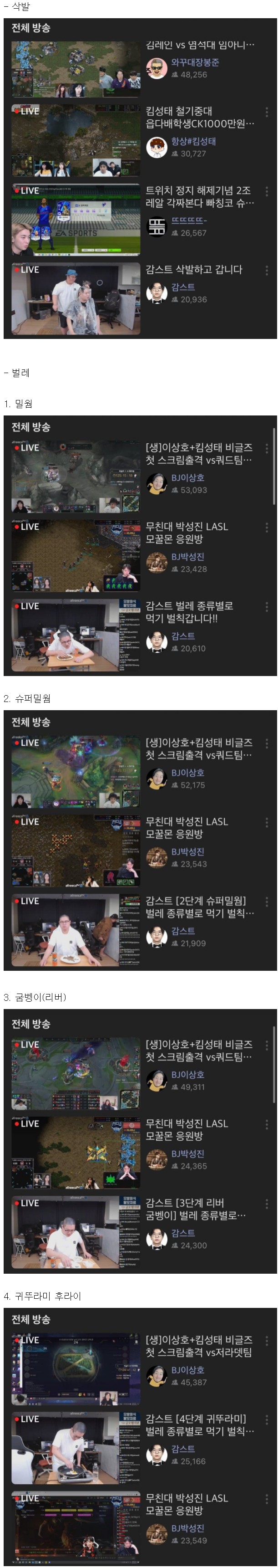 스트리슈