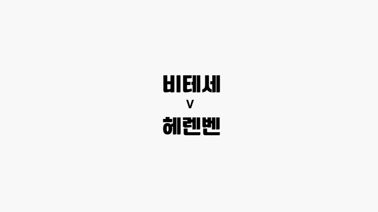  67회차 201번 [에레디비지에] 비테세 vs 헤렌벤