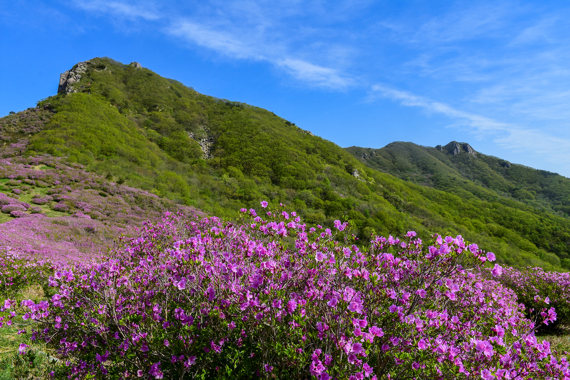 황매산 풍경