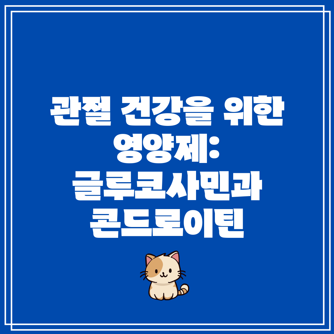 관절 건강을 위한 영양제 글루코사민과 콘드로이틴