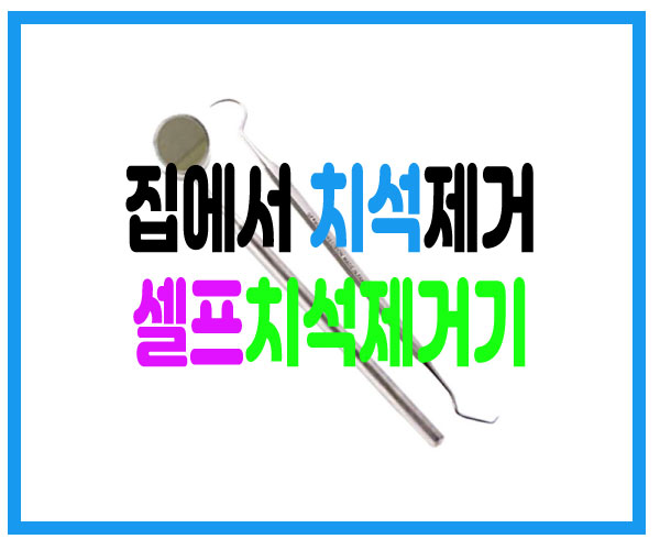  셀프치석제거 치과 무서워서 셀프치석제거기 사용하기